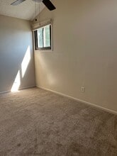 1205 Nantucket St in Windsor, CO - Building Photo - Building Photo