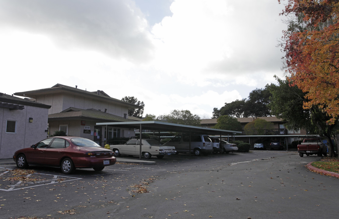 Park Lane Apartments in Petaluma, CA - Building Photo