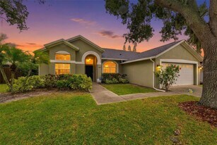 11417 Palm Pasture Dr in Tampa, FL - Building Photo