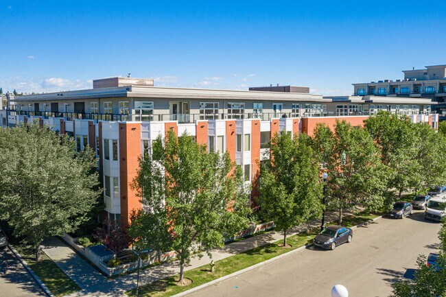 Bella Cita in Calgary, AB - Building Photo - Building Photo