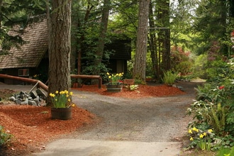 8008 149th St NW in Gig Harbor, WA - Building Photo - Building Photo