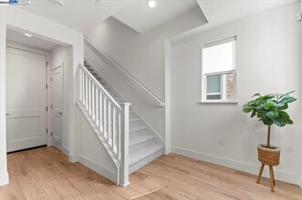 1194 Mateo Miller Cir in San Ramon, CA - Building Photo - Building Photo