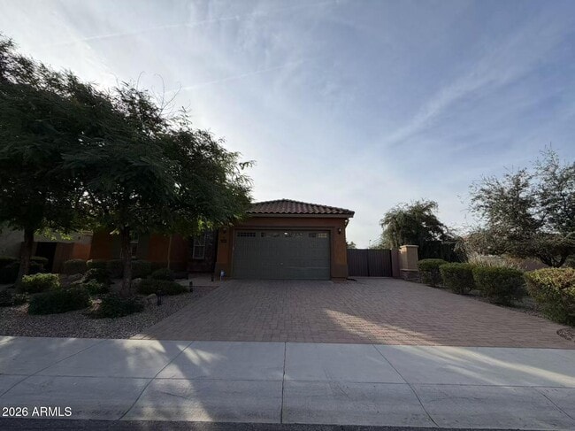 3191 E Beechnut Pl in Chandler, AZ - Building Photo - Building Photo
