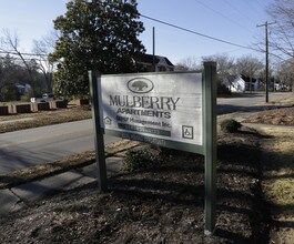 Mulberry Ridge Apartments in Blacksburg, SC - Building Photo - Building Photo