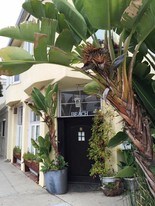 159 Hollister Ave, Unit 8 in Santa Monica, CA - Building Photo