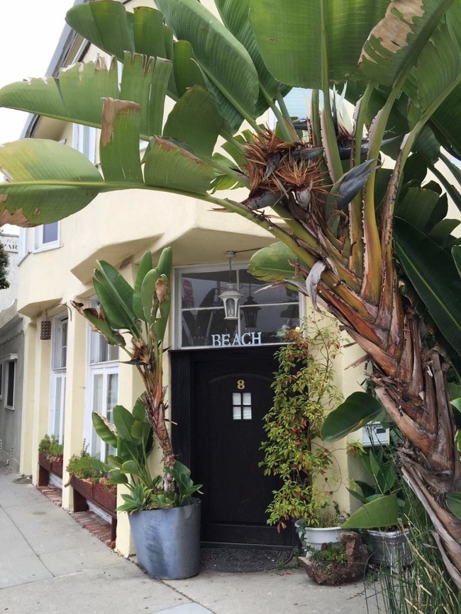 159 Hollister Ave, Unit 8