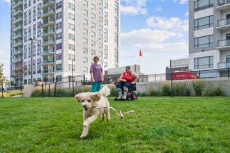 Alto Towers in London, ON - Building Photo - Building Photo