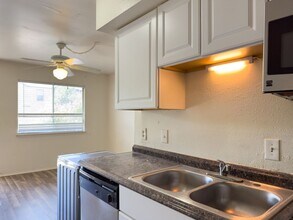 1010 W 23rd St in Austin, TX - Building Photo - Building Photo