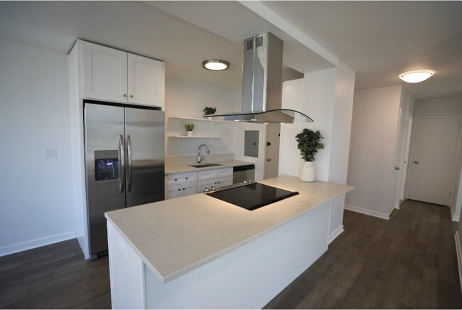 360 W Wellington Ave in Chicago, IL - Building Photo - Building Photo