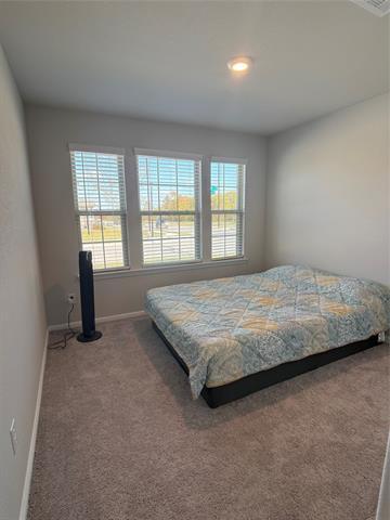 401 Forsyth Dr in Princeton, TX - Building Photo - Building Photo