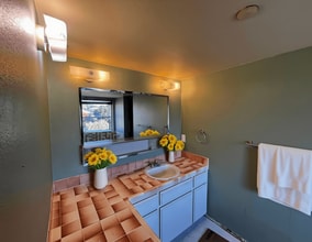 334 Cedar Rd in Vista, CA - Building Photo - Building Photo