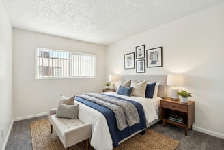 Pine Village in Las Vegas, NV - Building Photo - Building Photo