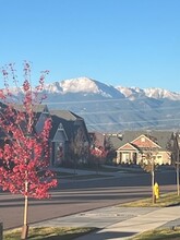 9078 Manse Grv in Colorado Springs, CO - Foto de edificio - Building Photo
