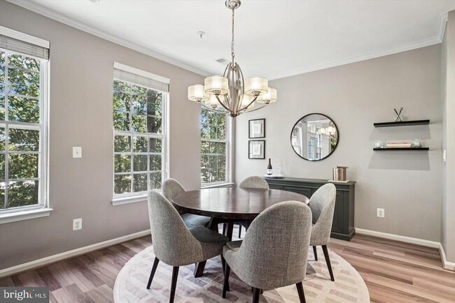 2663 Manhattan Pl in Vienna, VA - Building Photo - Building Photo