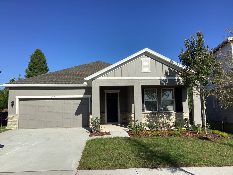 20307 Calla Lily Dr in Land O Lakes, FL - Building Photo