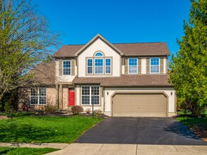 1148 Challis Springs Dr in New Albany, OH - Building Photo - Building Photo