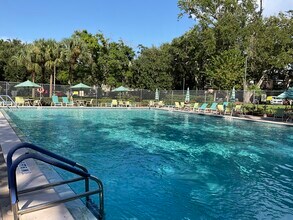 3086 Pointer Dr in Palm Harbor, FL - Building Photo - Building Photo