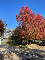 1178 St John St in Erie, CO - Building Photo