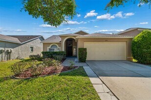 1250 Salt Clay Ct in Wesley Chapel, FL - Building Photo