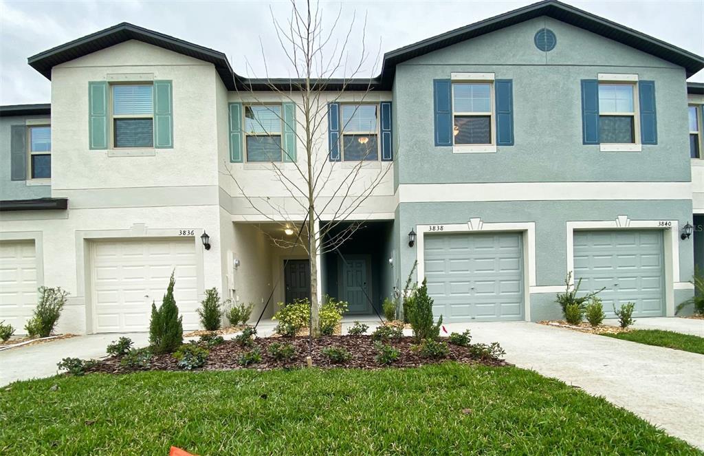 3836 Cat Mint St in Tampa, FL - Building Photo