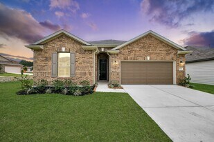 18211 Hidden Dahlia Dr in Tomball, TX - Building Photo