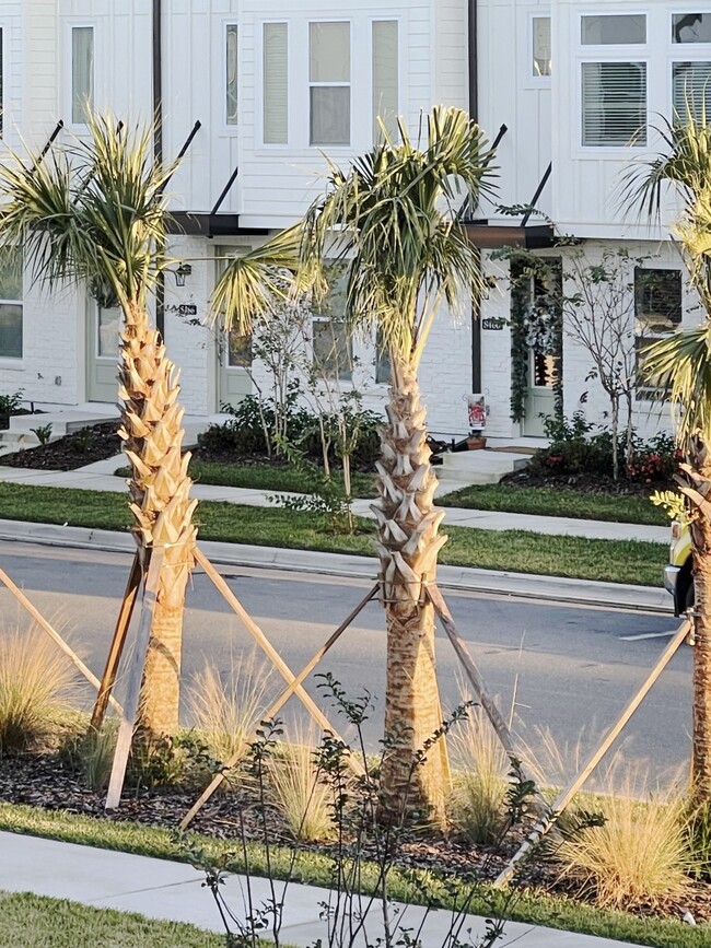 12567 Willstatter Ave in Orlando, FL - Building Photo - Building Photo