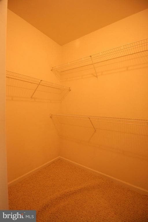 3810 Lightfoot St in Chantilly, VA - Building Photo - Building Photo