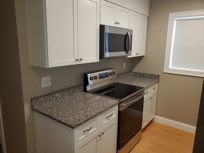 110 Lucerne St in Boston, MA - Building Photo - Building Photo