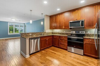 1021 Costa Pacifica Way in Oceanside, CA - Building Photo - Building Photo