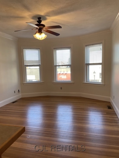 property at 407 Moody St