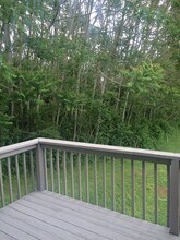 814 Rich Acres Dr in Johnson City, TN - Building Photo - Building Photo