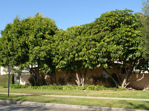 4061 Green Ave in Los Alamitos, CA - Building Photo - Building Photo