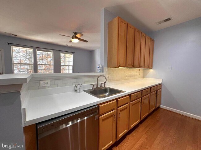 22607 Blue Elder Terrace in Brambleton, VA - Building Photo - Building Photo