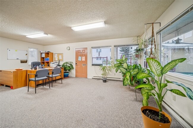 property at 424 E Dogwood Ave