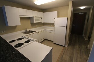 2 E Erie St, Unit 1901 in Chicago, IL - Building Photo - Building Photo