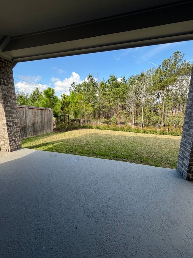 107 Harlequin Duck Ct in Magnolia, TX - Building Photo - Building Photo