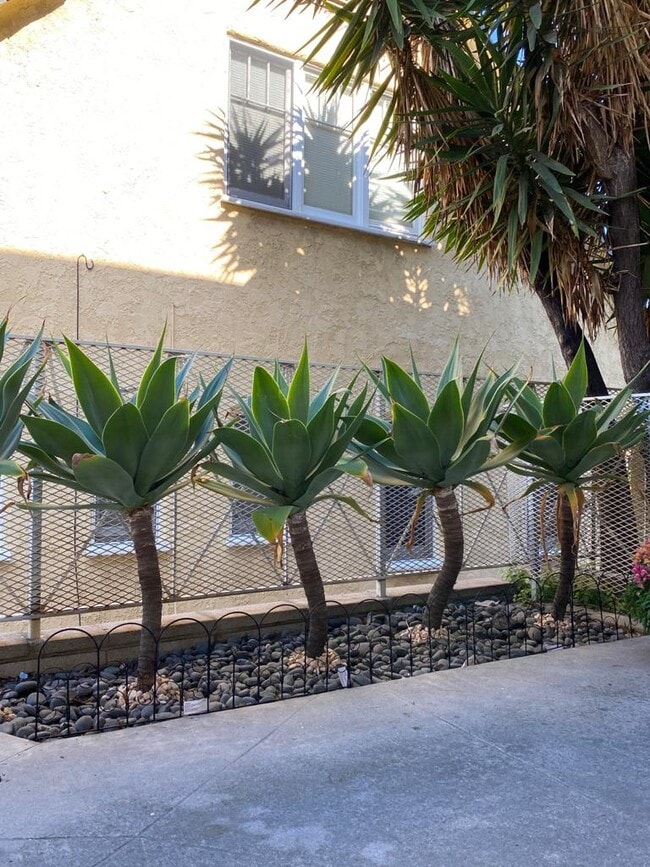 1469 Canfield Properties in Los Angeles, CA - Foto de edificio - Building Photo