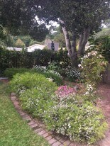 26413 Birch Pl, Unit Carmel Studio in Carmel, CA - Building Photo