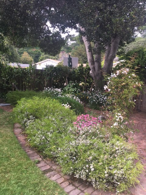 26413 Birch Pl, Unit Carmel Studio in Carmel, CA - Foto de edificio