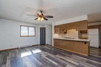 119 Balcerzak Dr in Mankato, MN - Building Photo - Building Photo