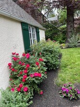 64 Maple Dr in Great Neck, NY - Building Photo - Building Photo