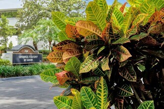 Springs Colony by ARIUM in Altamonte Springs, FL - Building Photo - Building Photo