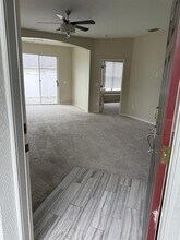 2929 Tanglewylde Dr in Land O Lakes, FL - Building Photo - Building Photo