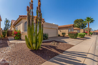 11078 N 111th St in Scottsdale, AZ - Building Photo - Building Photo