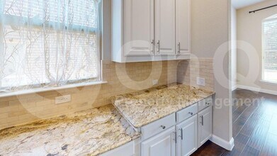 1108 Horsetail Dr in Little Elm, TX - Building Photo - Building Photo