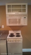 307 E Frances Ave in Tampa, FL - Building Photo - Building Photo