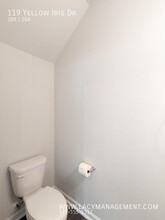 119 Yellow Iris Dr in Raleigh, NC - Building Photo - Building Photo