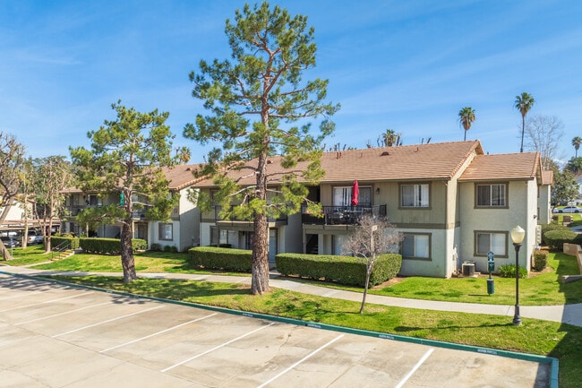 The Colony in Redlands, CA - Building Photo - Building Photo