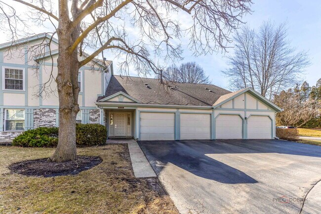 203 Blossom Ct in Buffalo Grove, IL - Building Photo - Building Photo