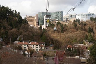 TreeHouse in Portland, OR - Foto de edificio - Building Photo